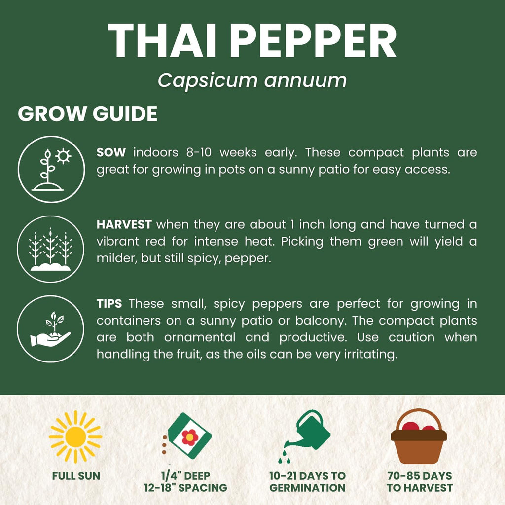 Thai Pepper