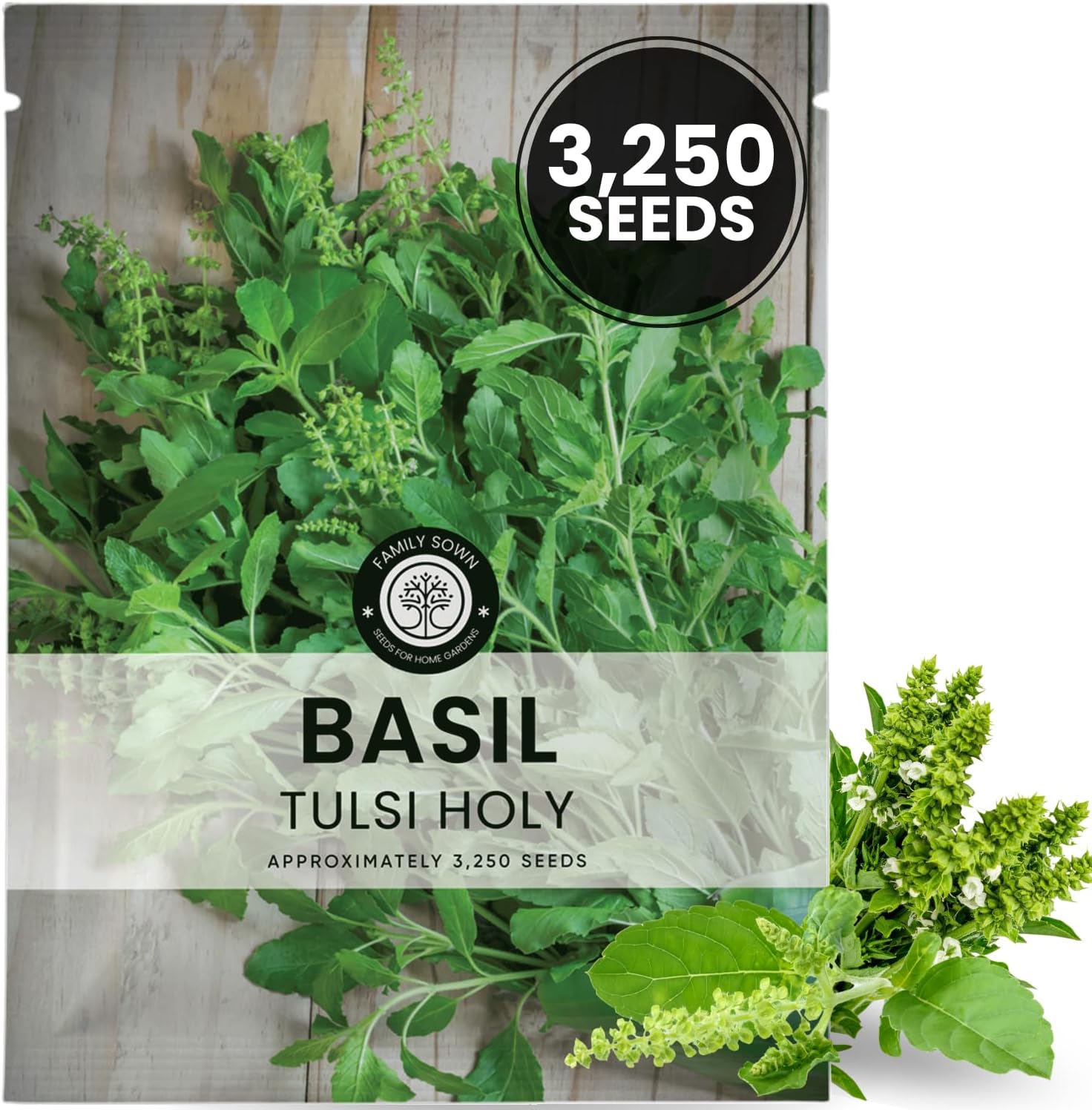 Tulsi Holy Basil