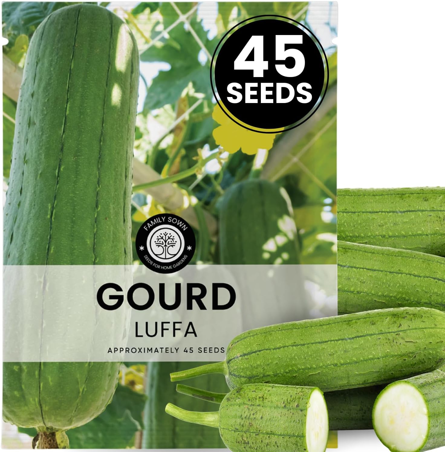 Luffa Gourd