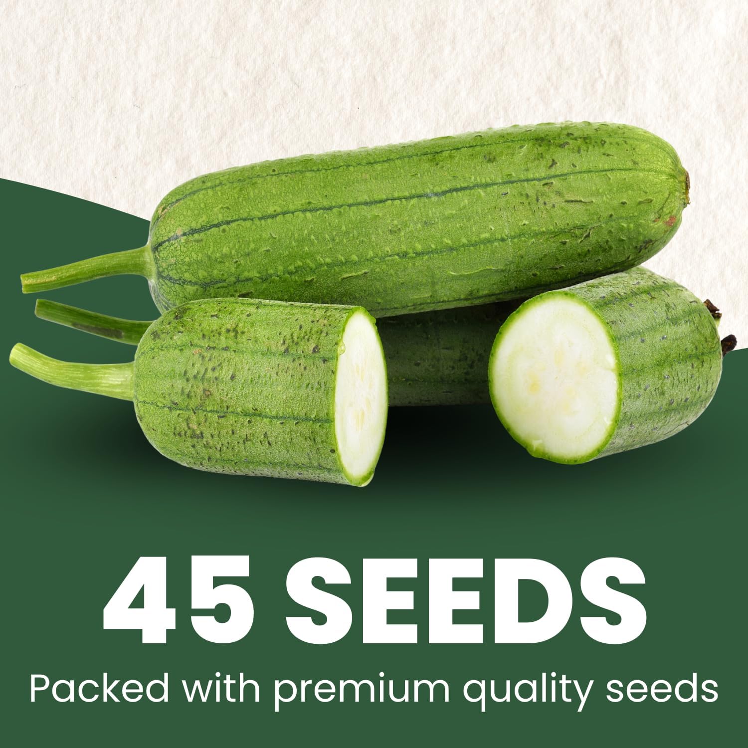 Luffa Gourd