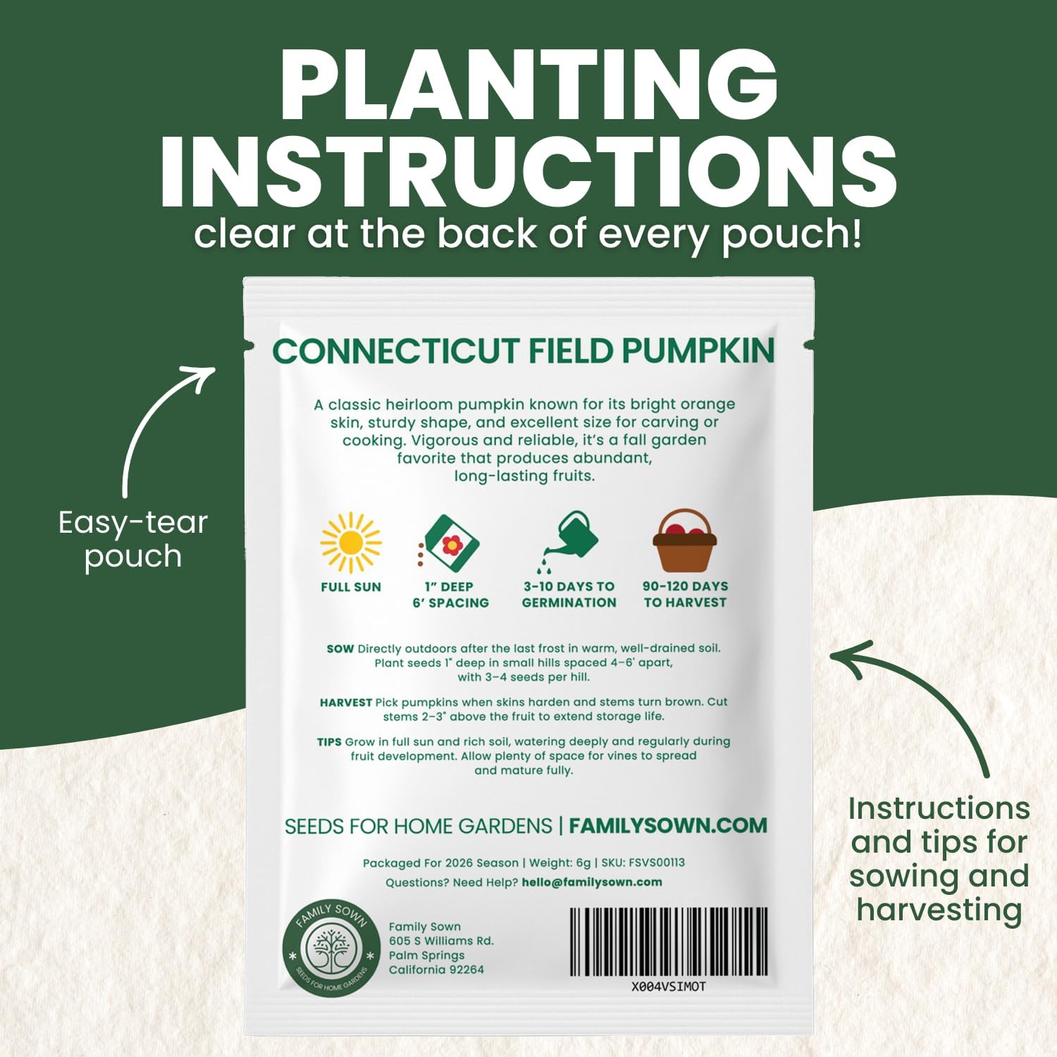 Connecticut Field Pumpkin