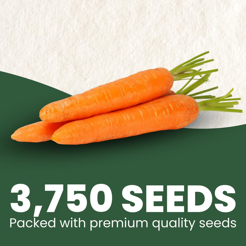 Tendersweet Carrot