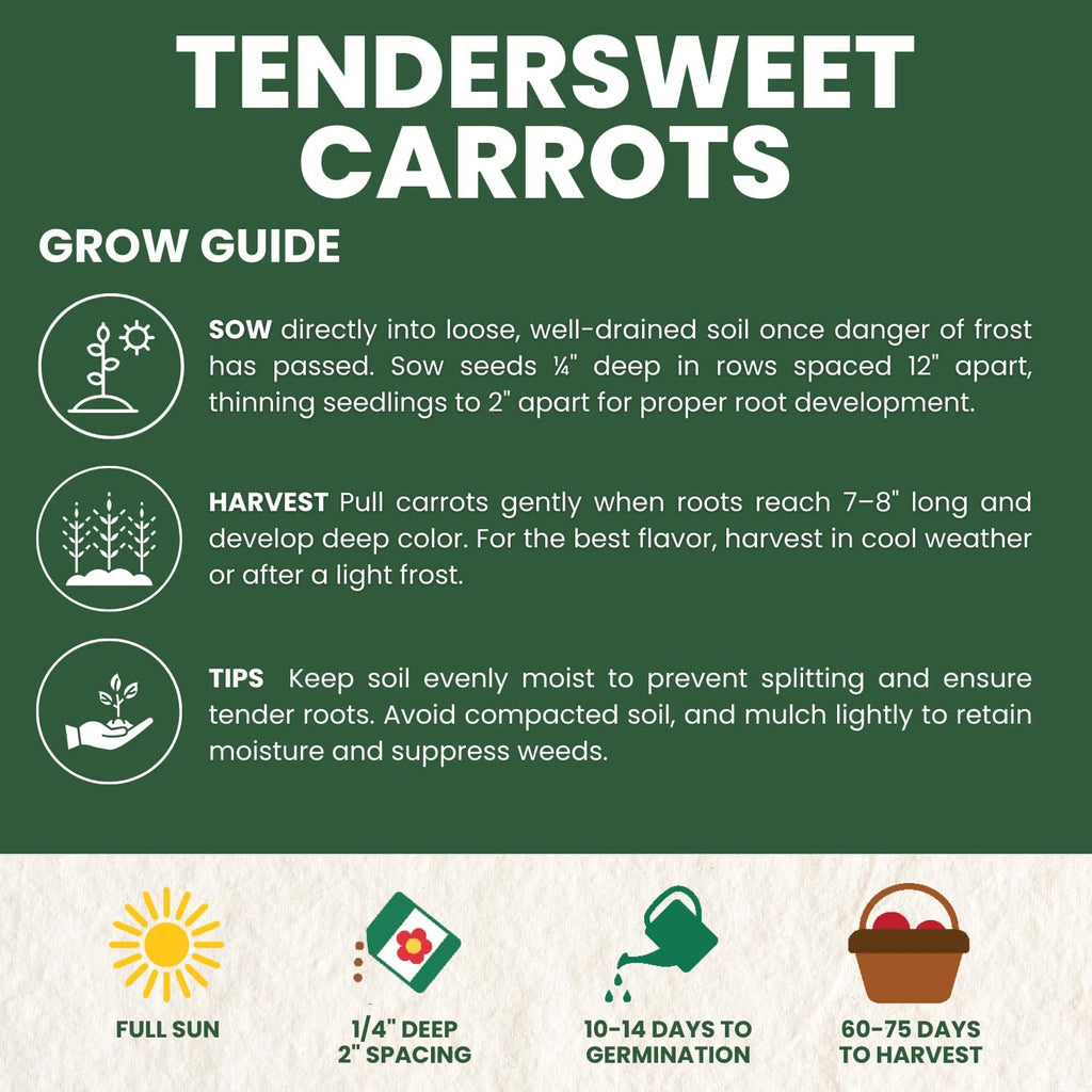 Tendersweet Carrot