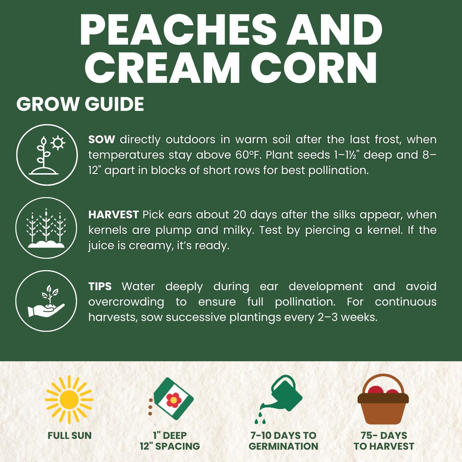 Peaches and Cream Corn