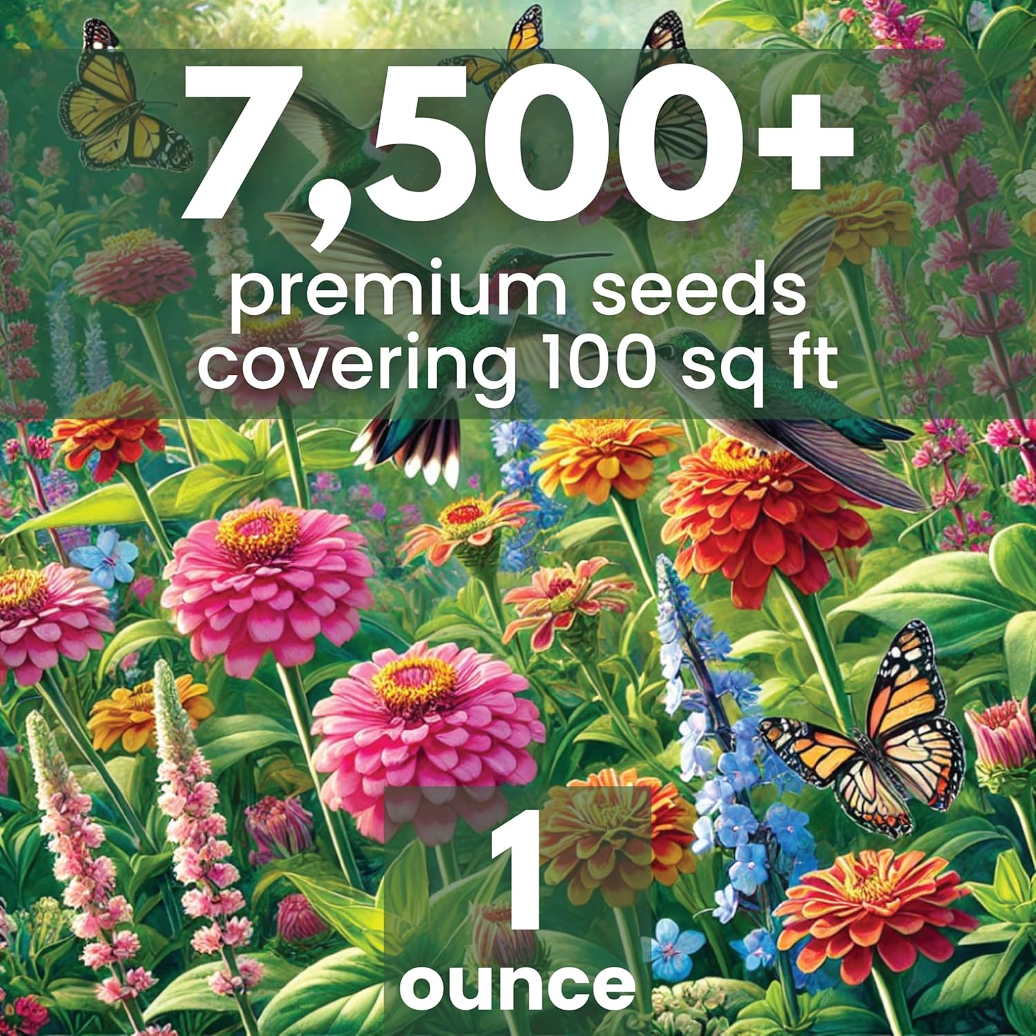 Hummingbird Butterfly Mix