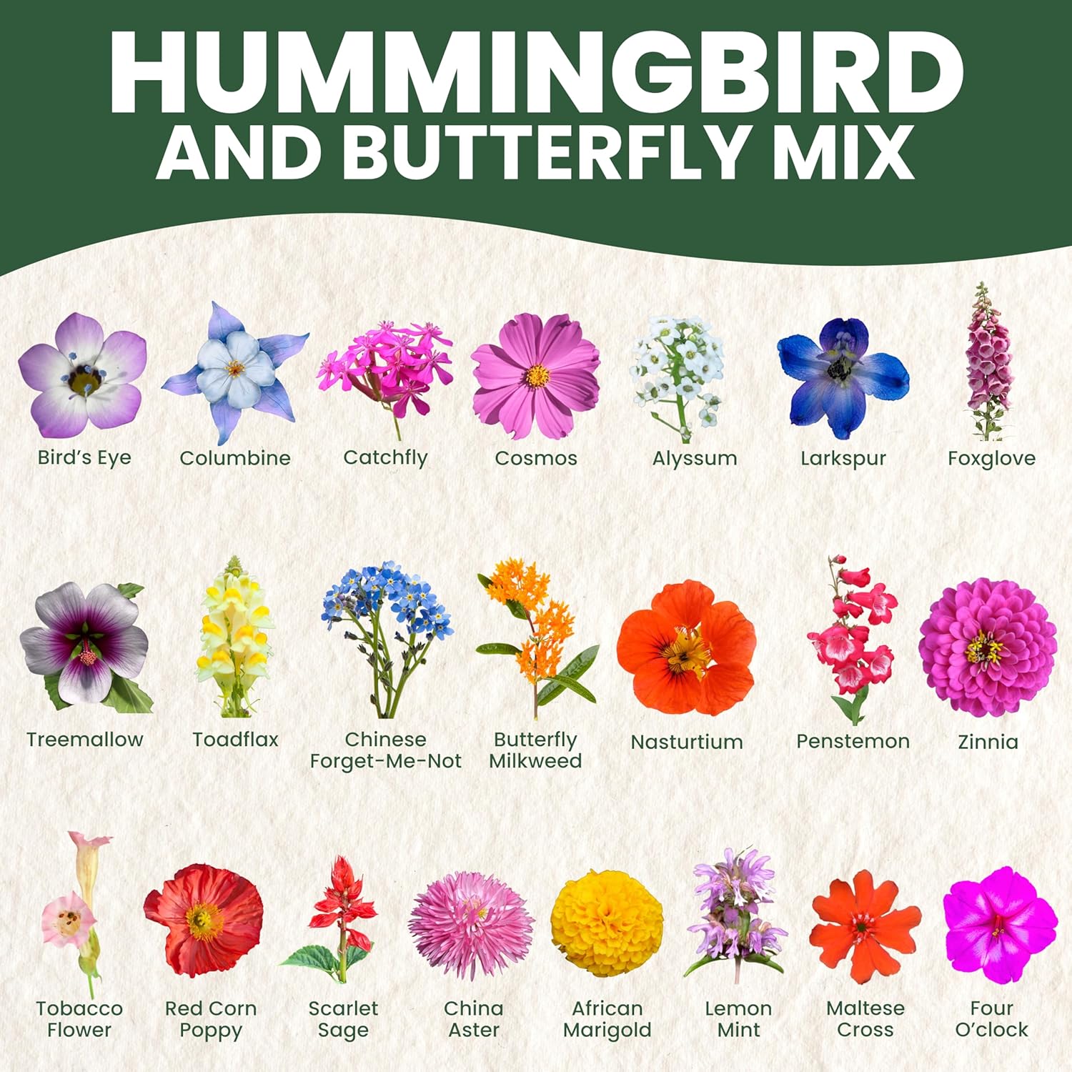 Hummingbird Butterfly Mix