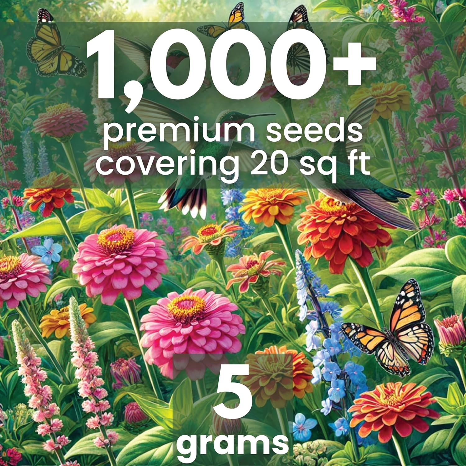 Hummingbird Butterfly Mix