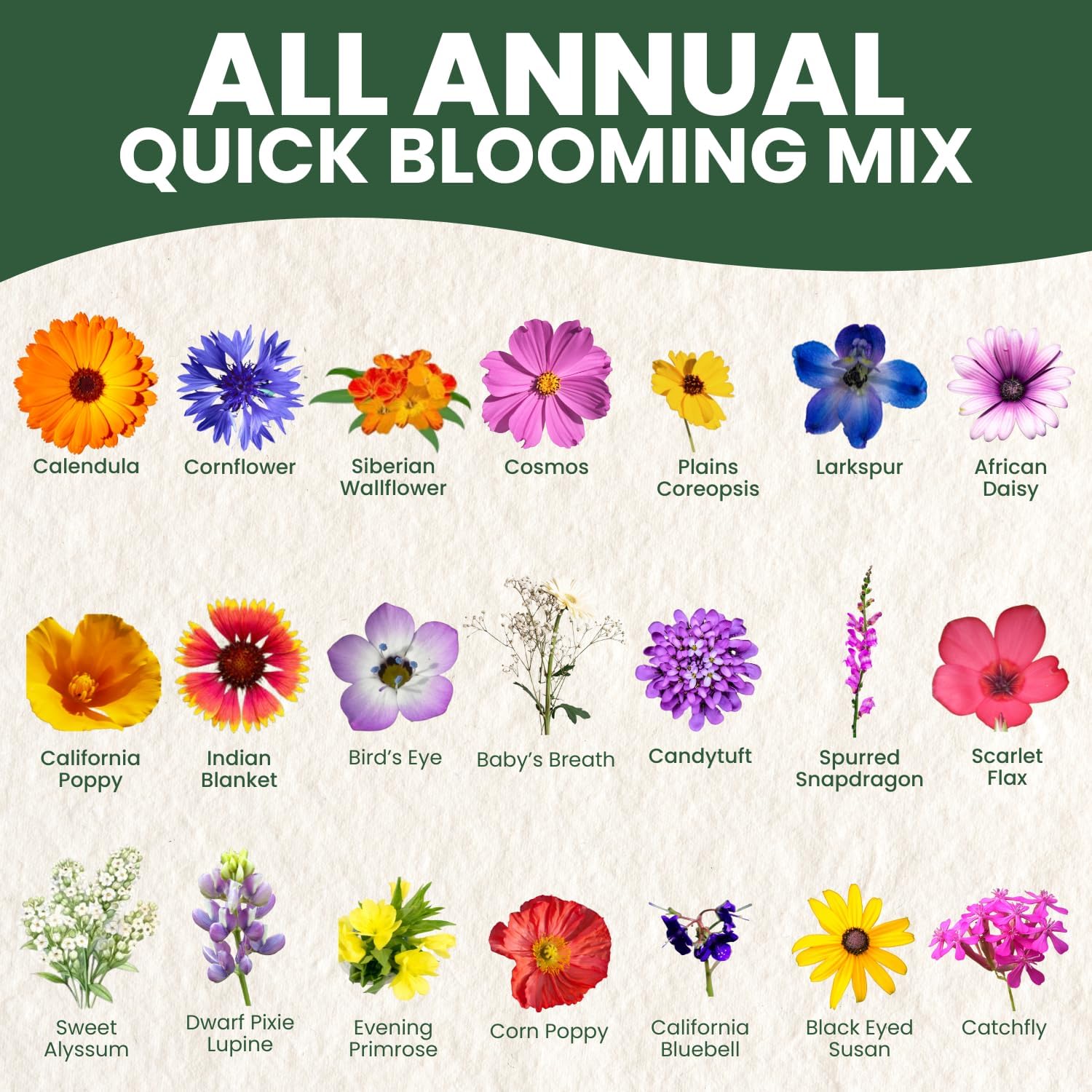 All Annual Quick Blooming Mix