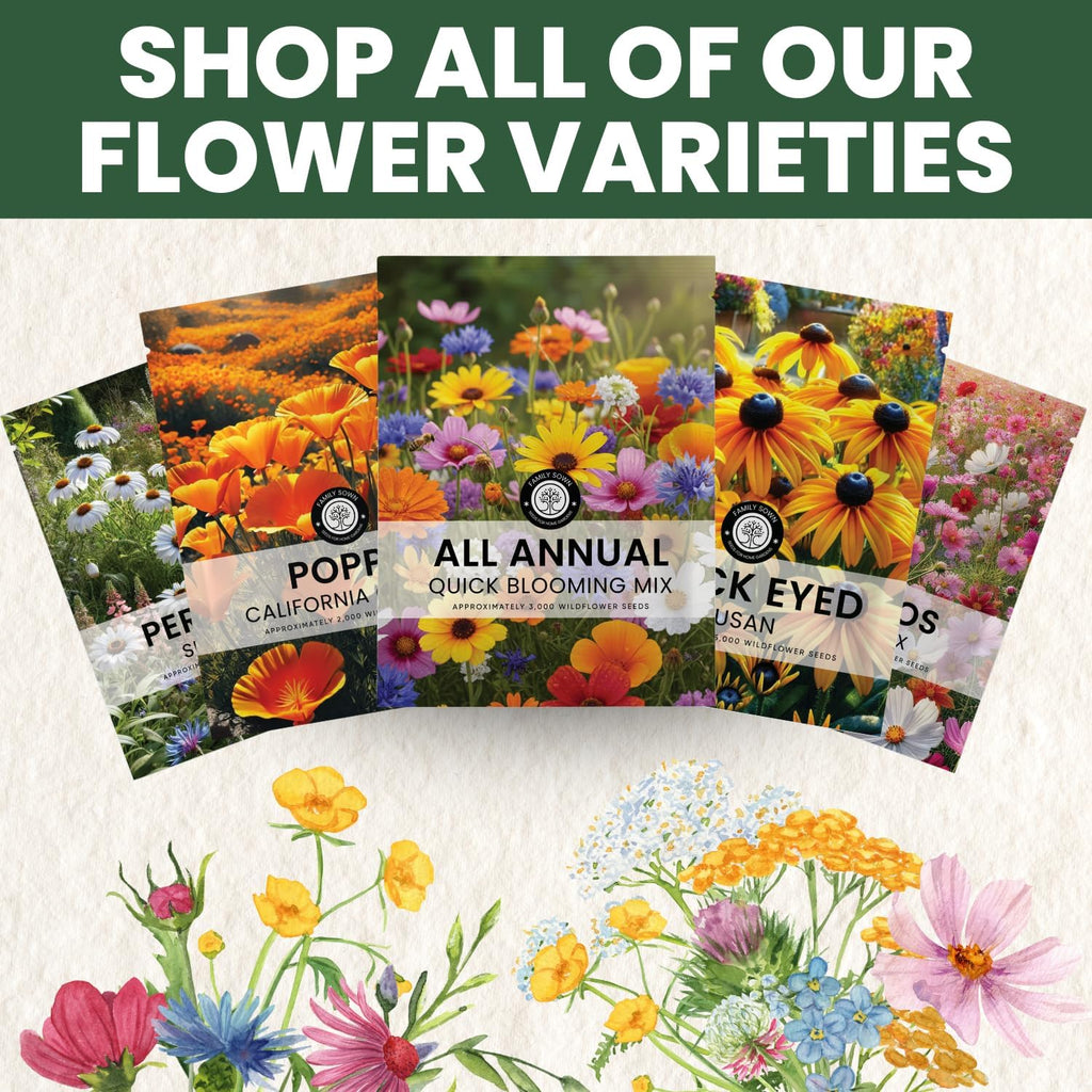 All Annual Quick Blooming Mix