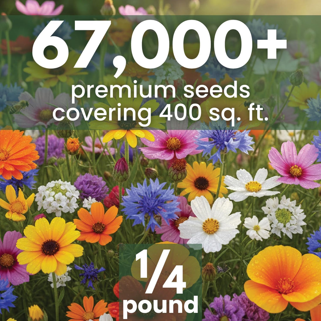 All Annual Quick Blooming Mix