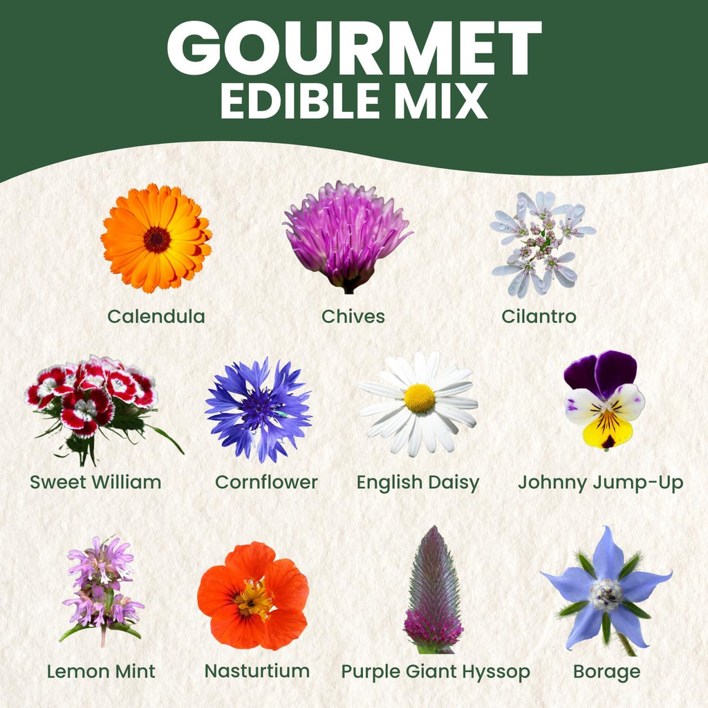 Gourmet Edible Mix