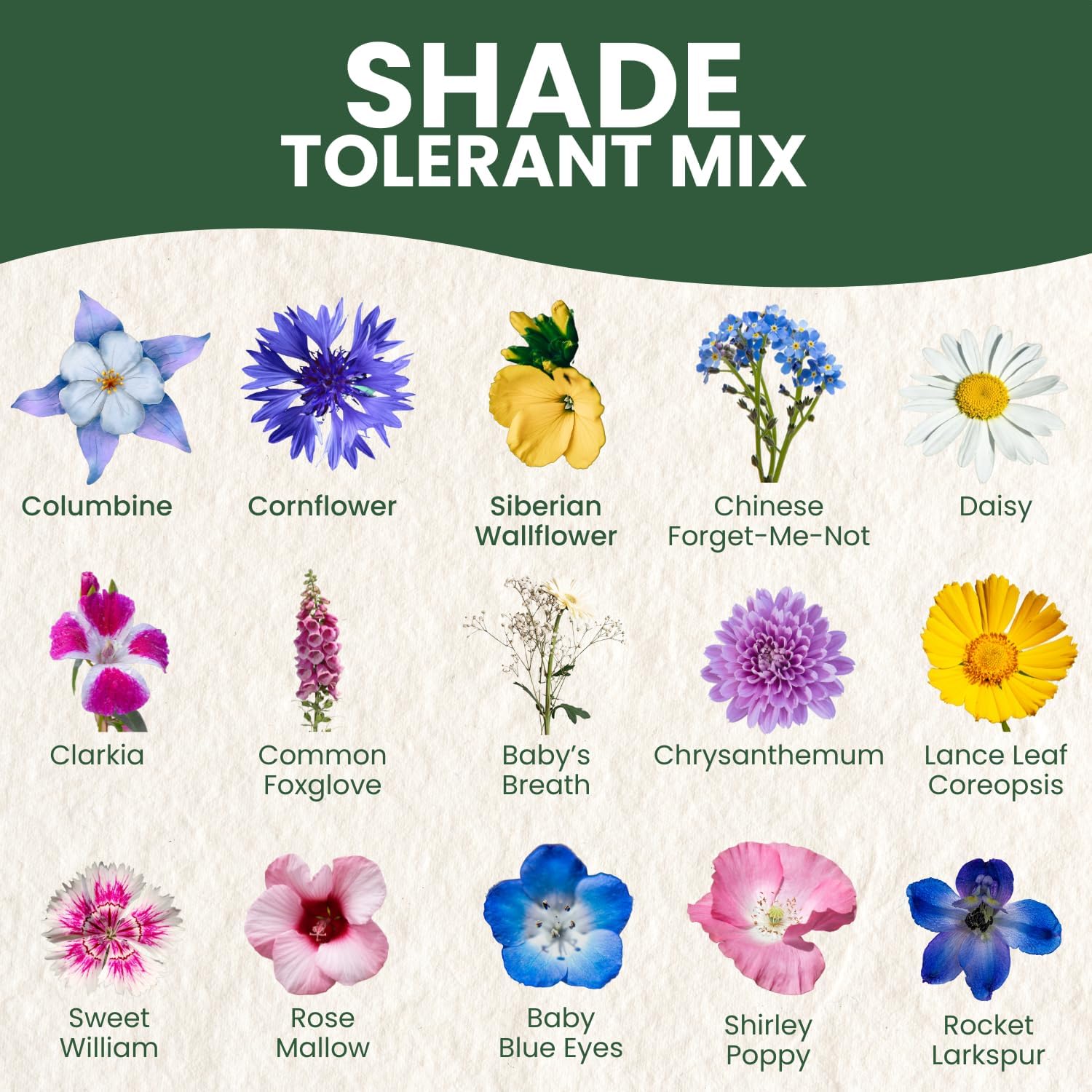 Shade Tolerant Mix