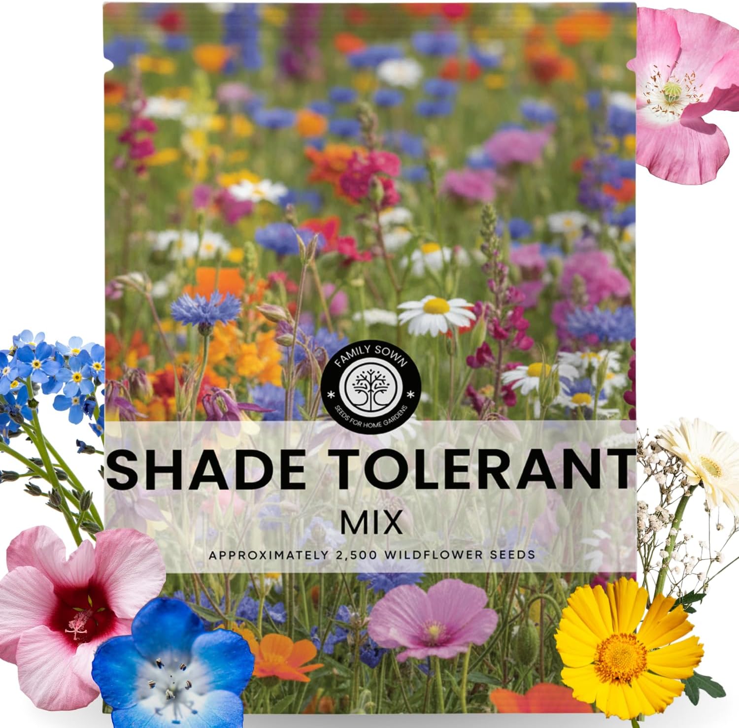 Shade Tolerant Mix – Family Sown