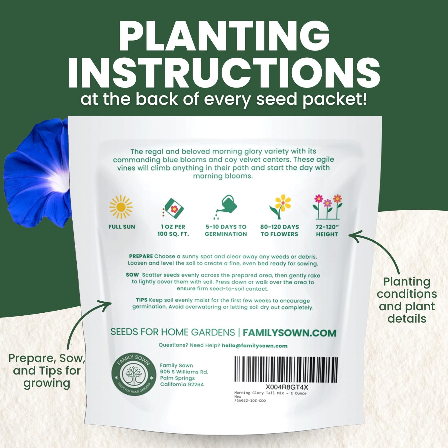 Morning Glory Heavenly Blue