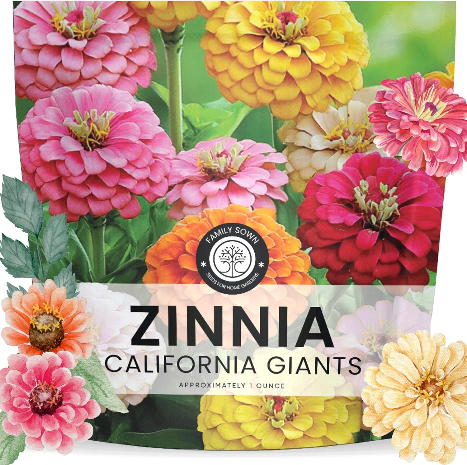 Zinnia California Giants