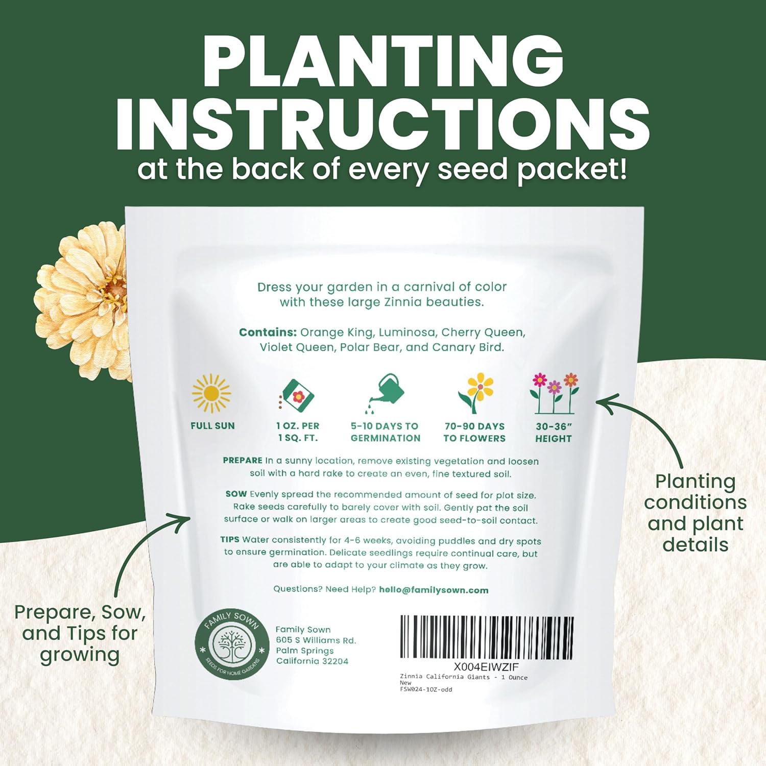 Zinnia California Giants