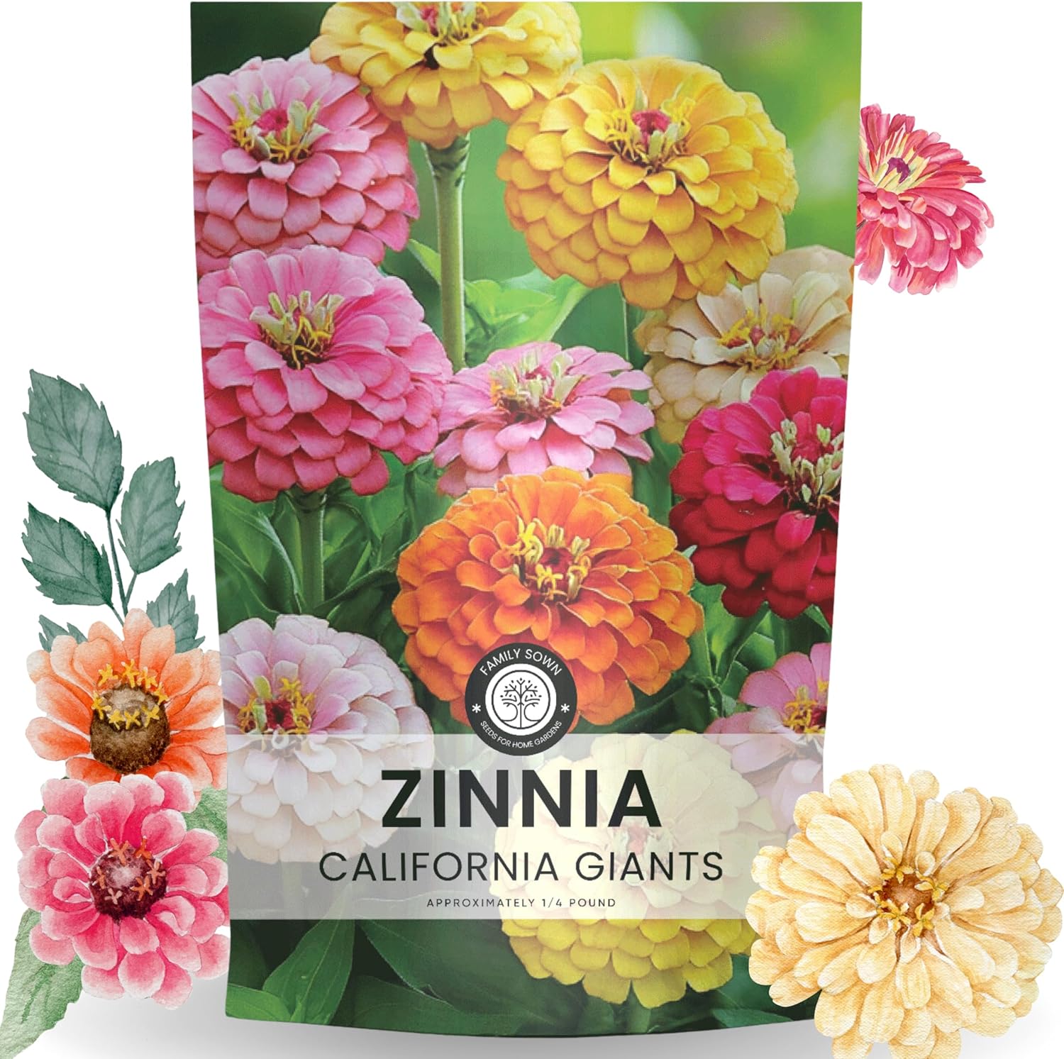 Zinnia California Giants