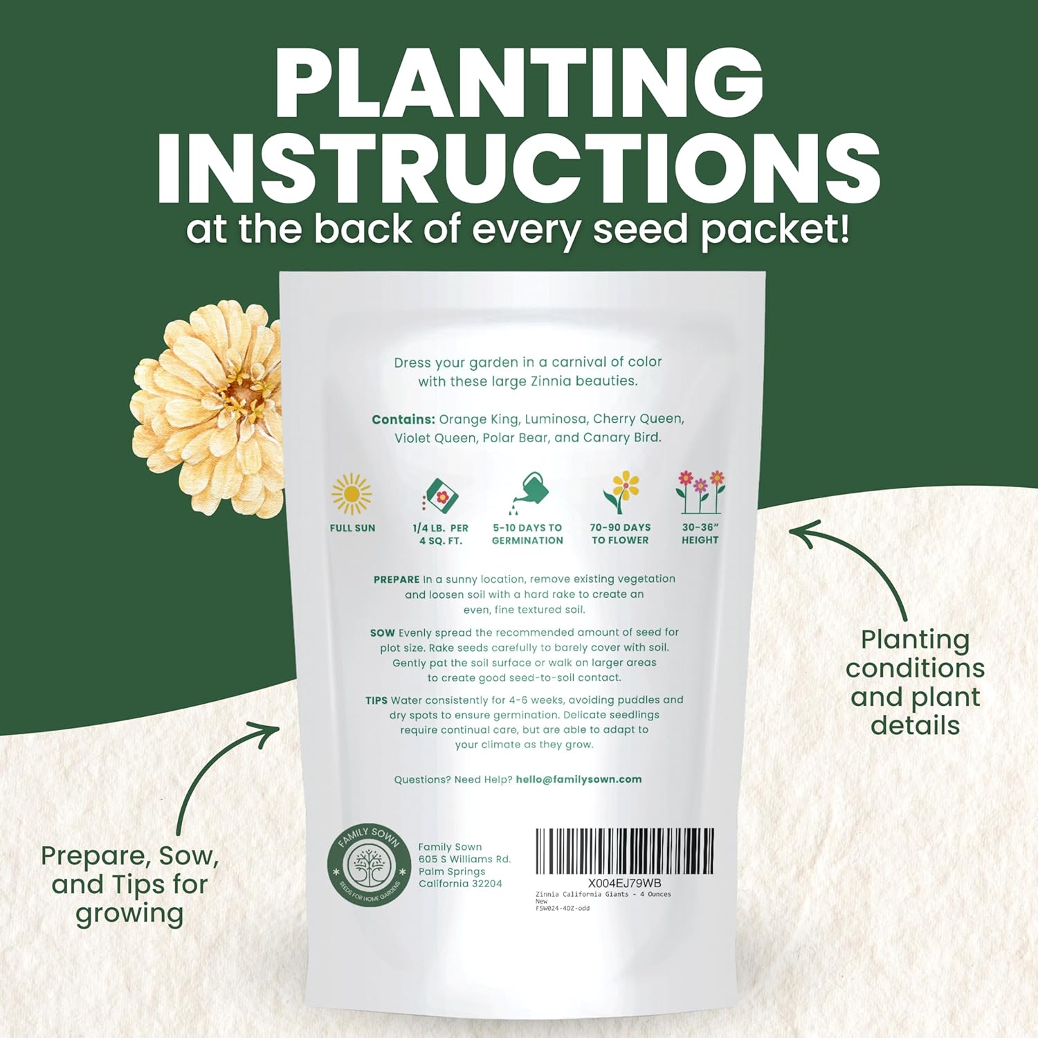 Zinnia California Giants