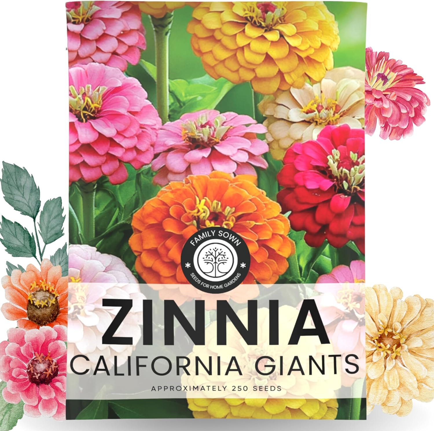 Zinnia California Giants