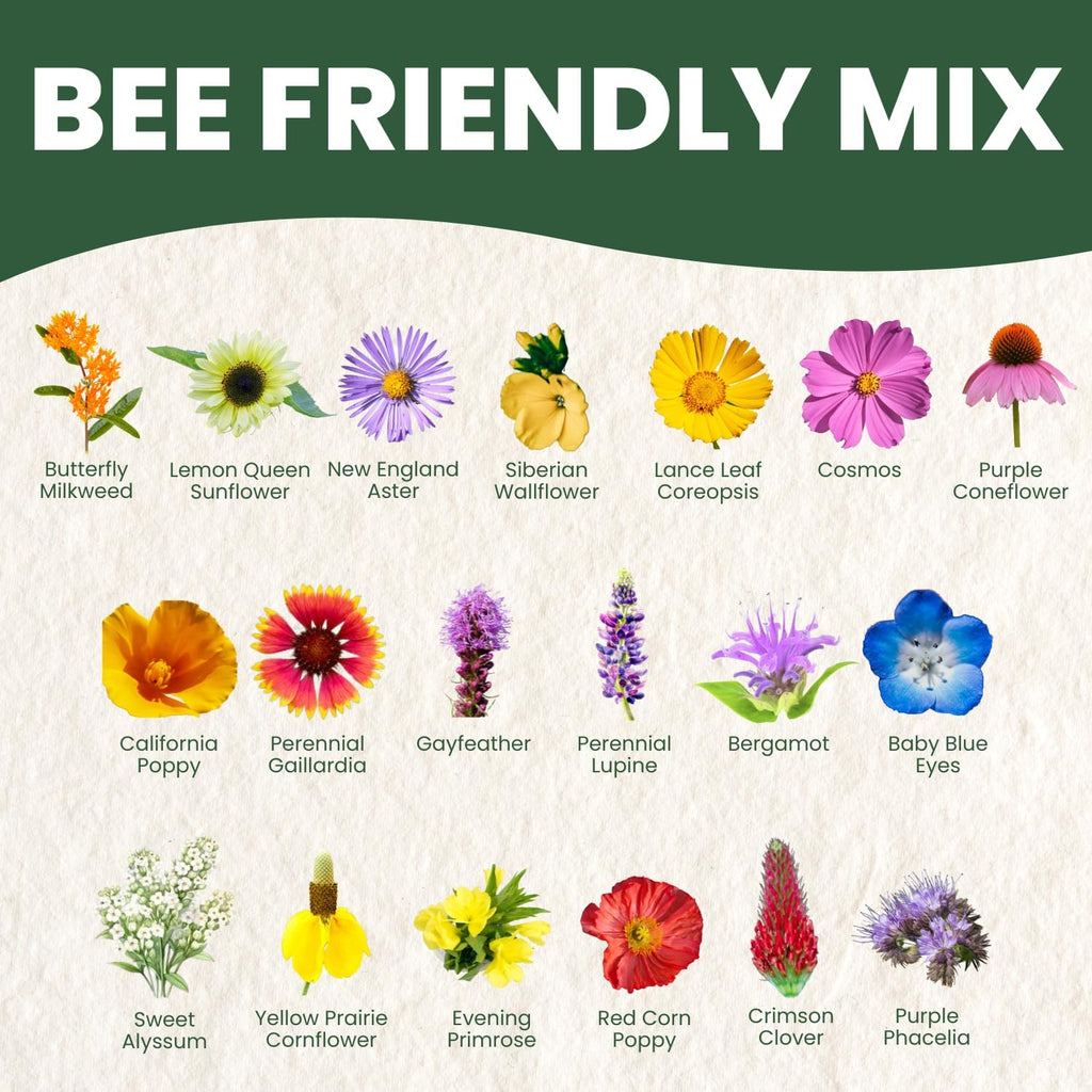 Bee Friendly Mix