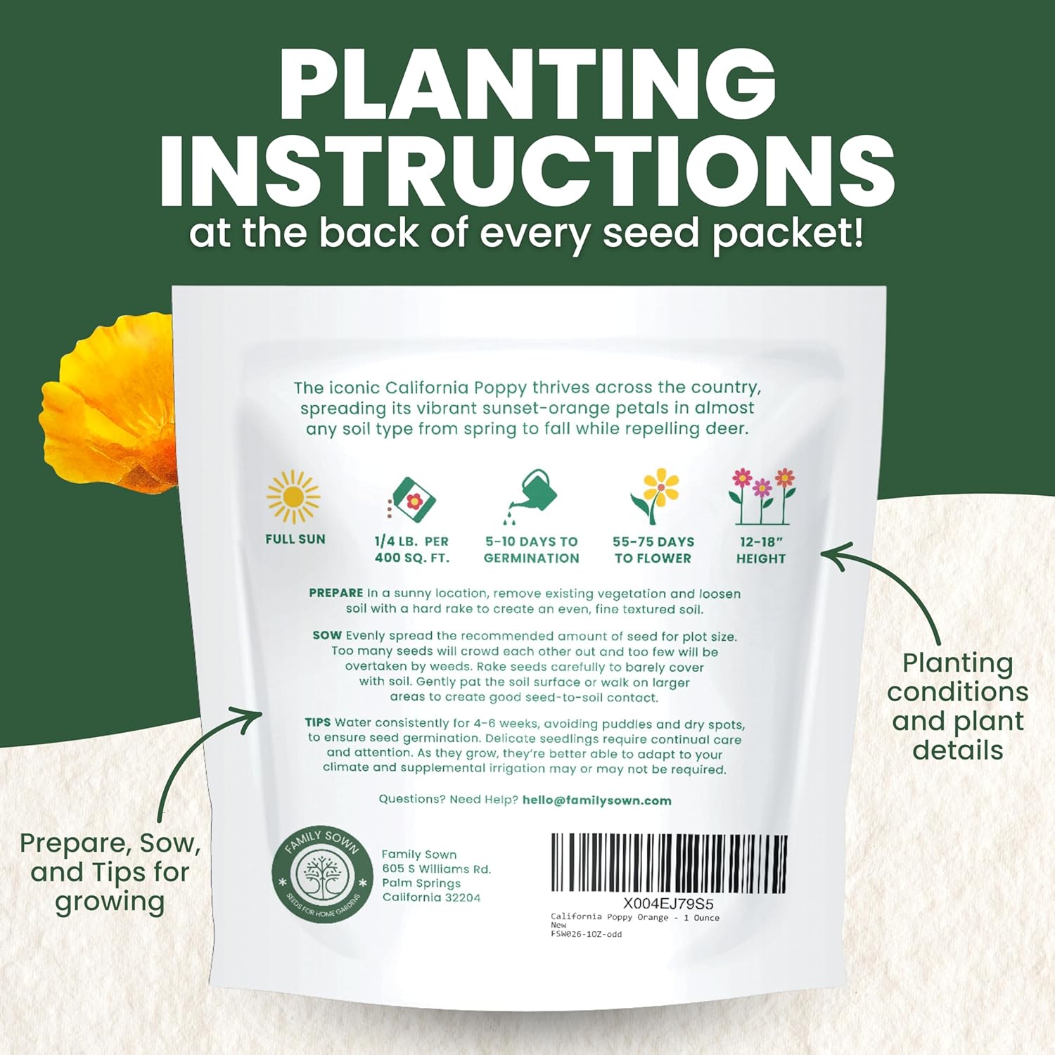 California Poppy Orange