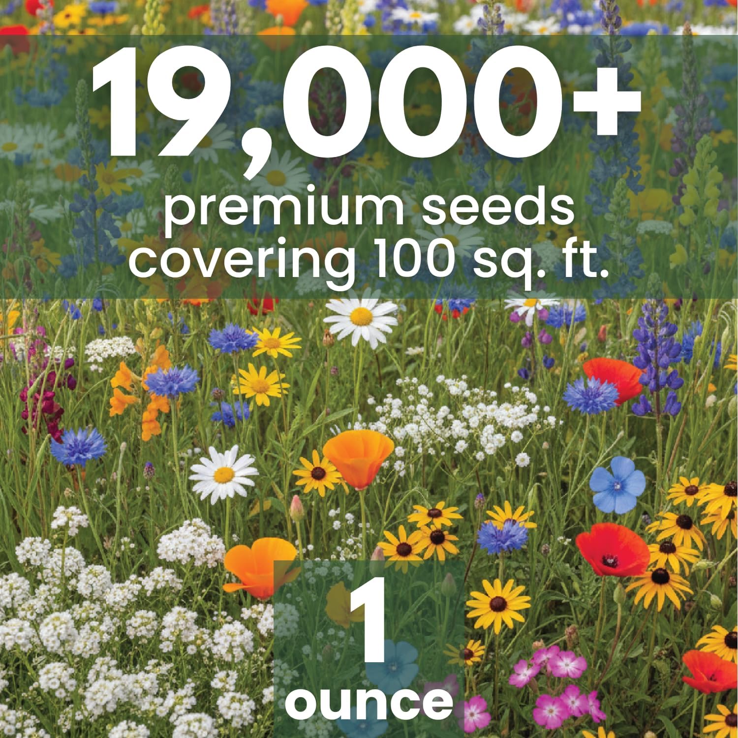 California Regional Mix