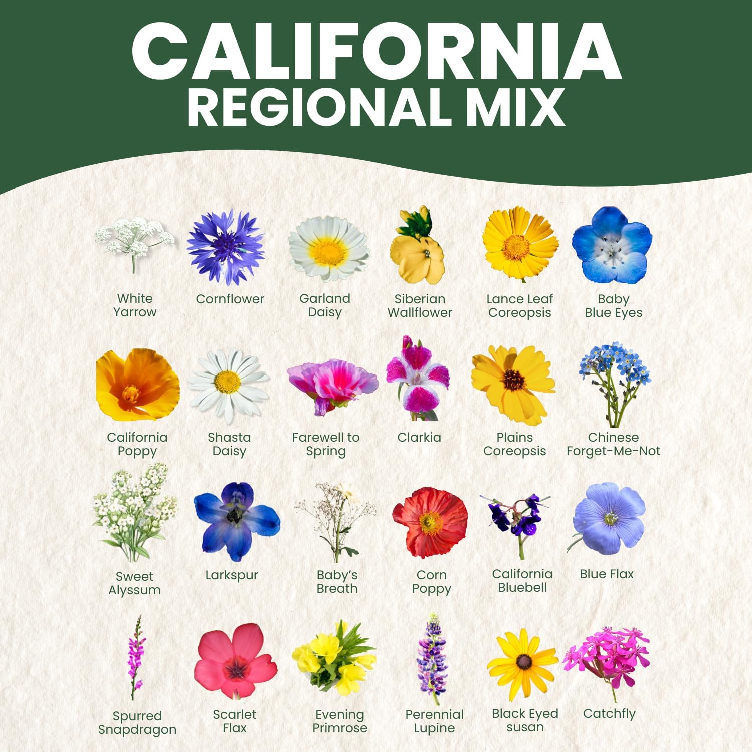 California Regional Mix