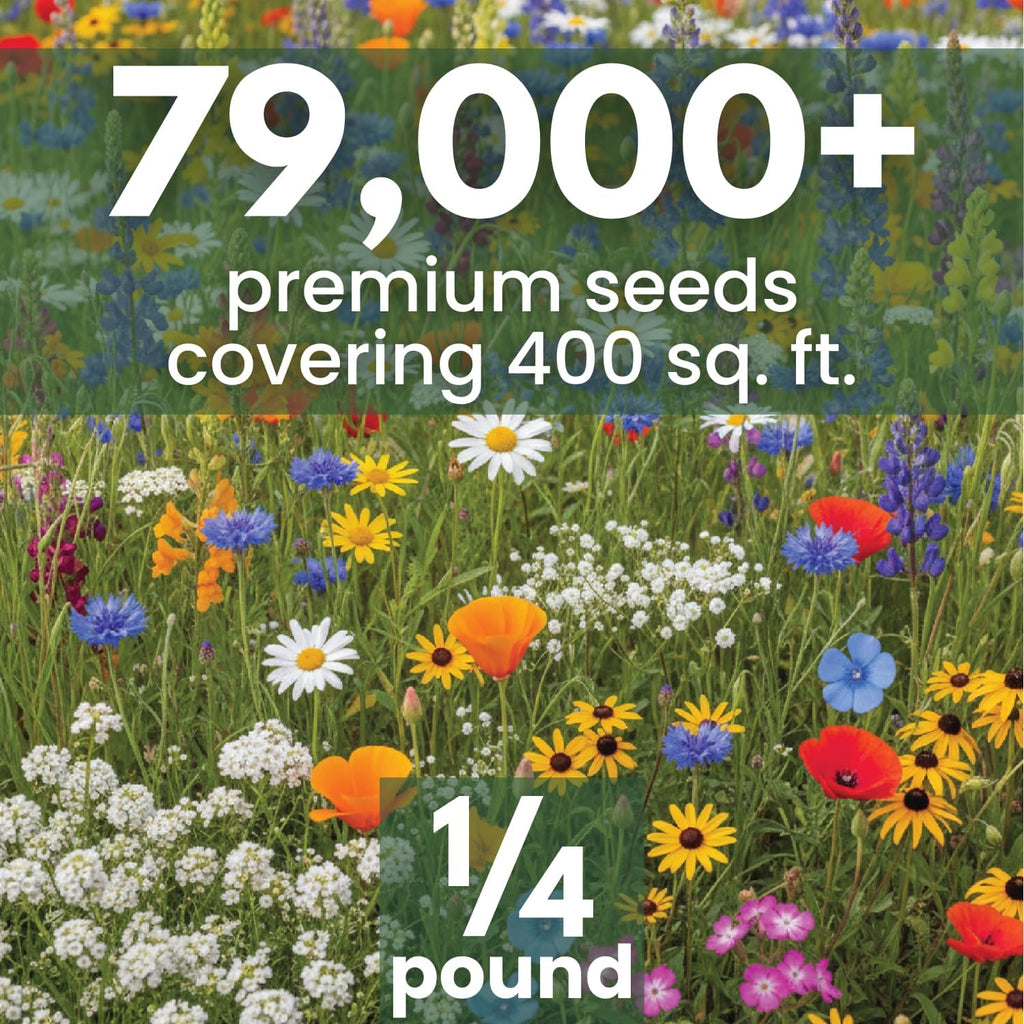 California Regional Mix