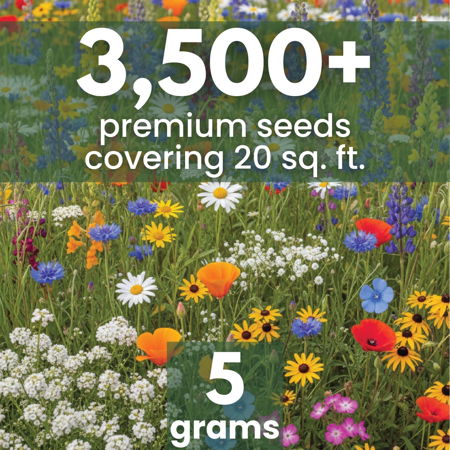 California Regional Mix