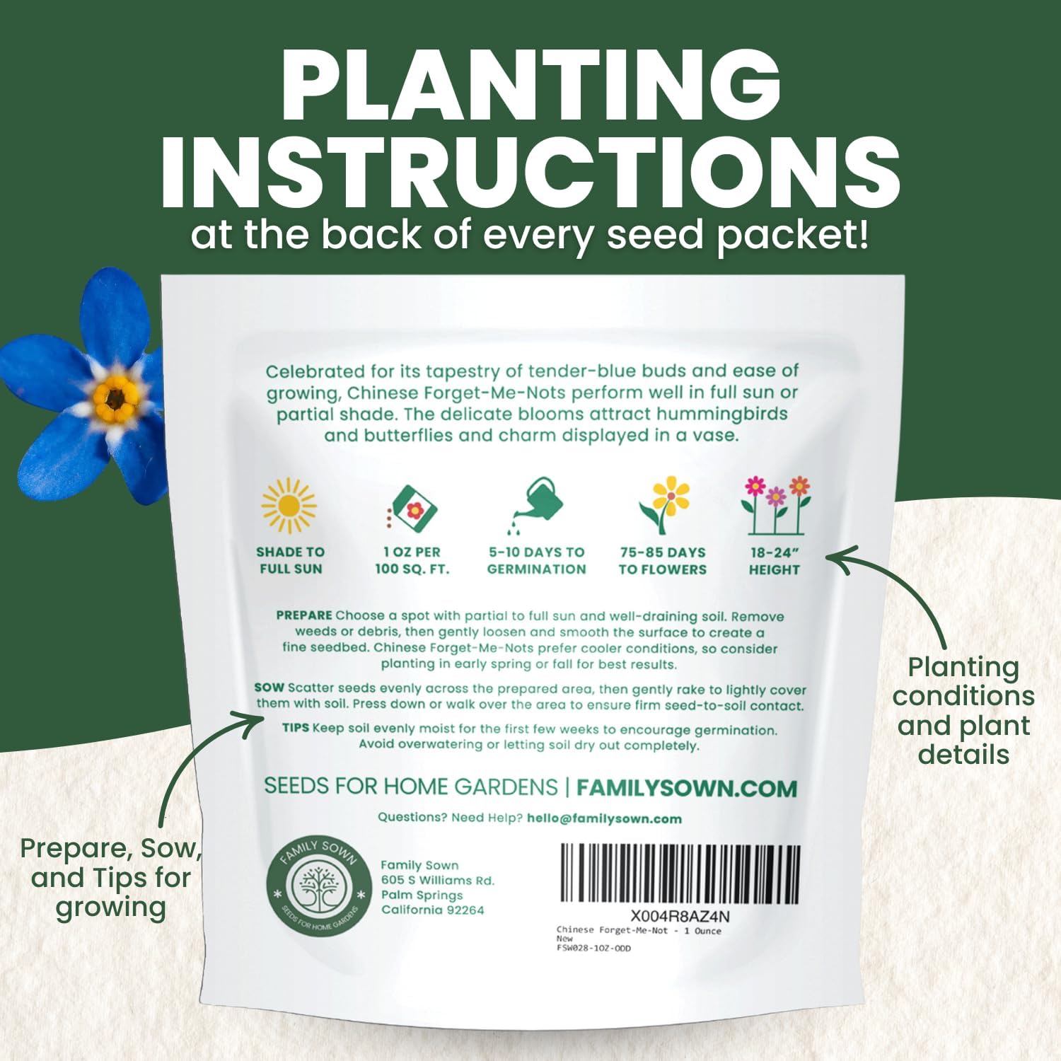 Chinese Forget Me Not