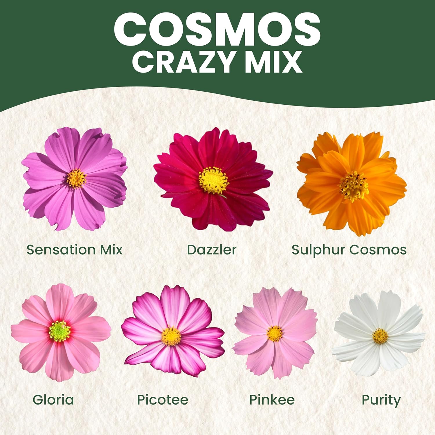 Crazy Cosmos Mix