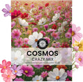 Crazy Cosmos Mix