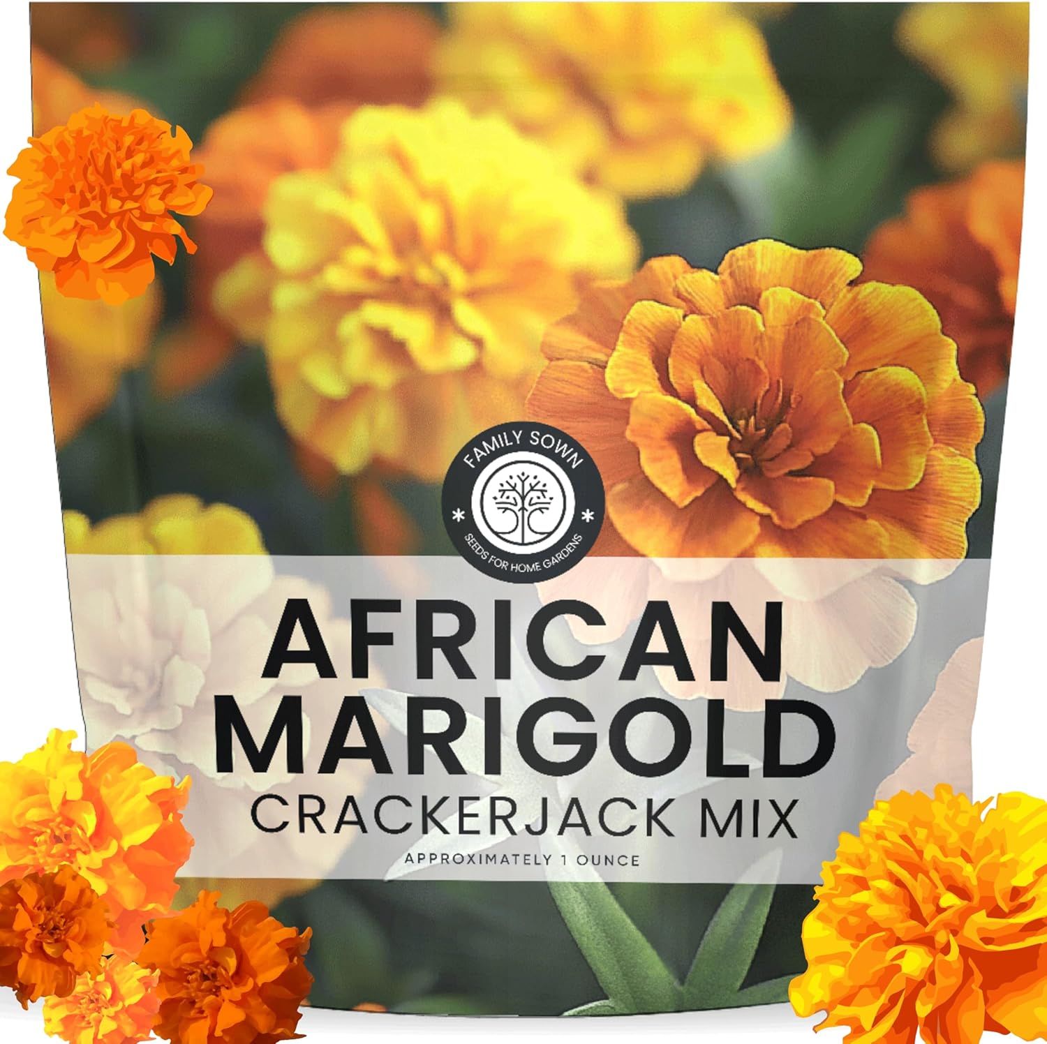 African Marigold Crackerjack