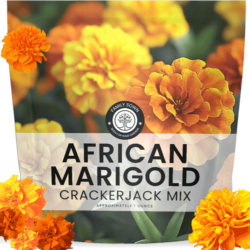 African Marigold Crackerjack