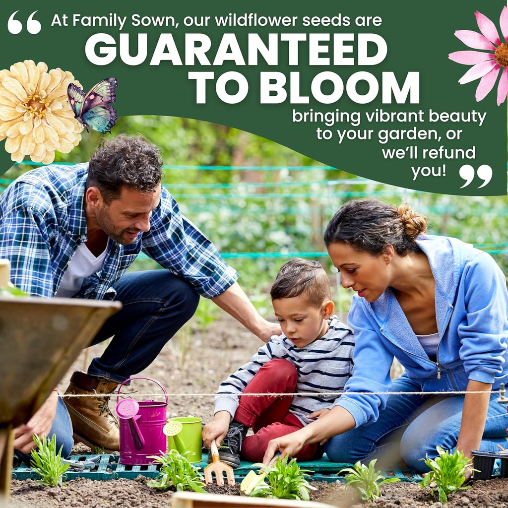 African Marigold Crackerjack