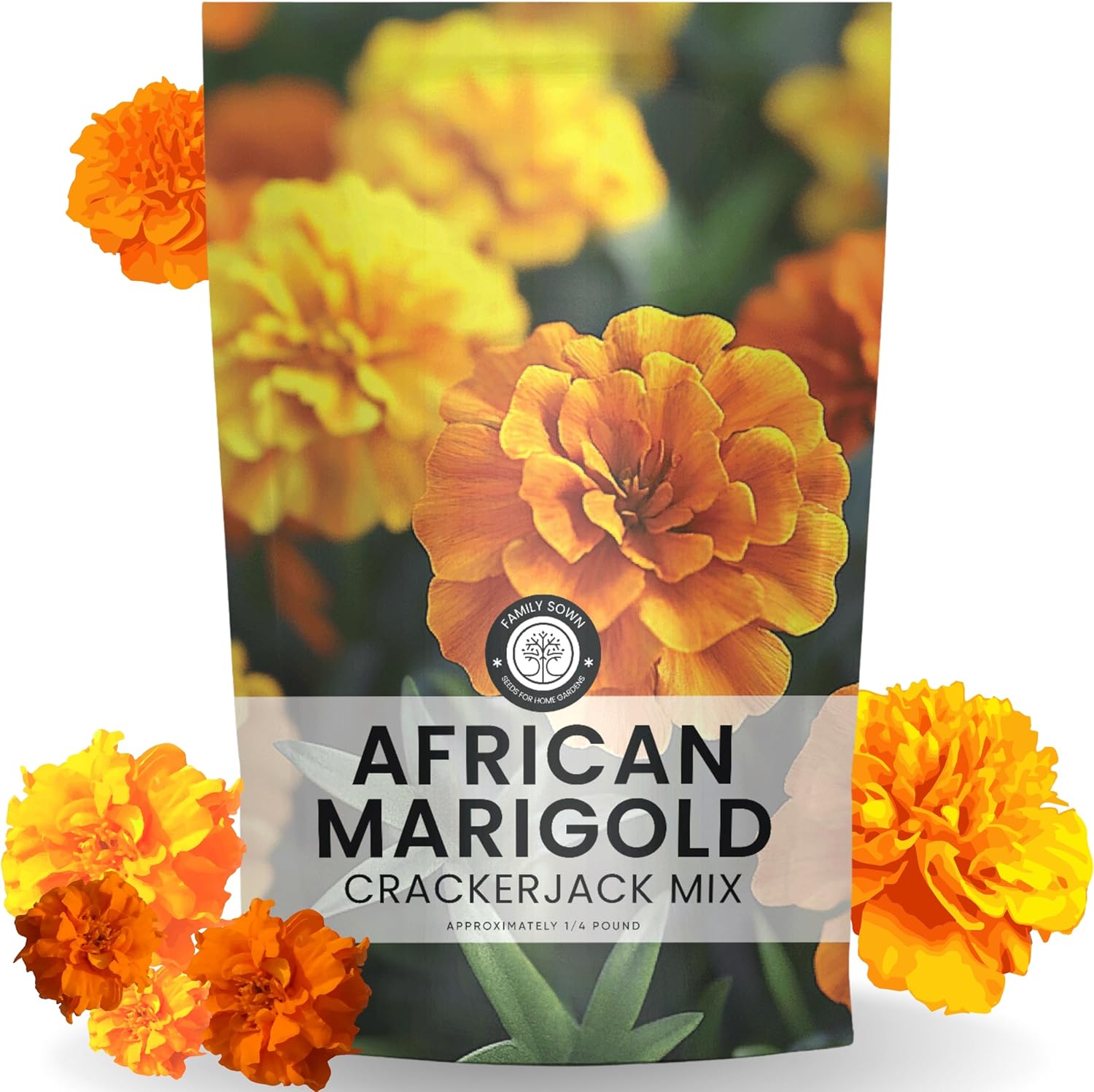 African Marigold Crackerjack