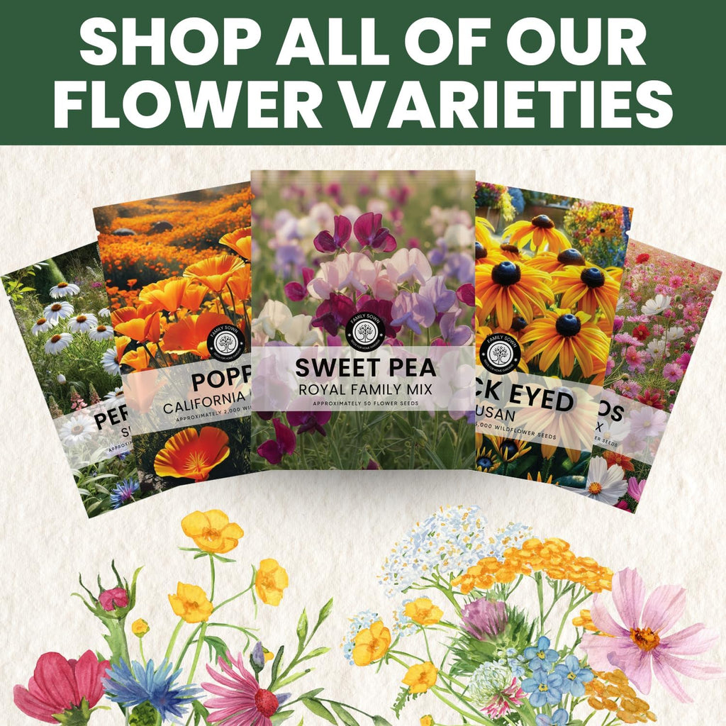 Sweet Pea Royal Family Mix