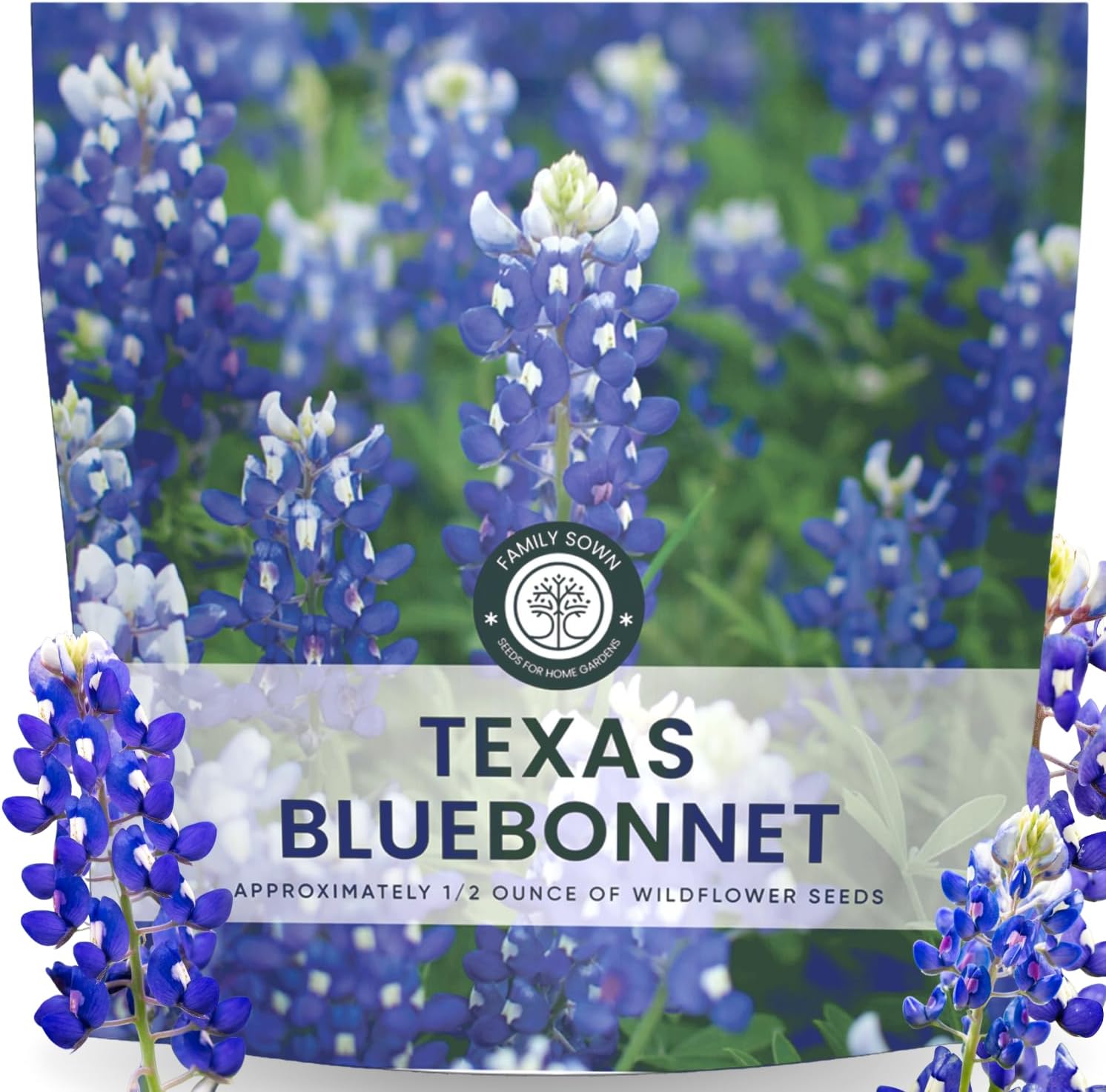 Texas Bluebonnet