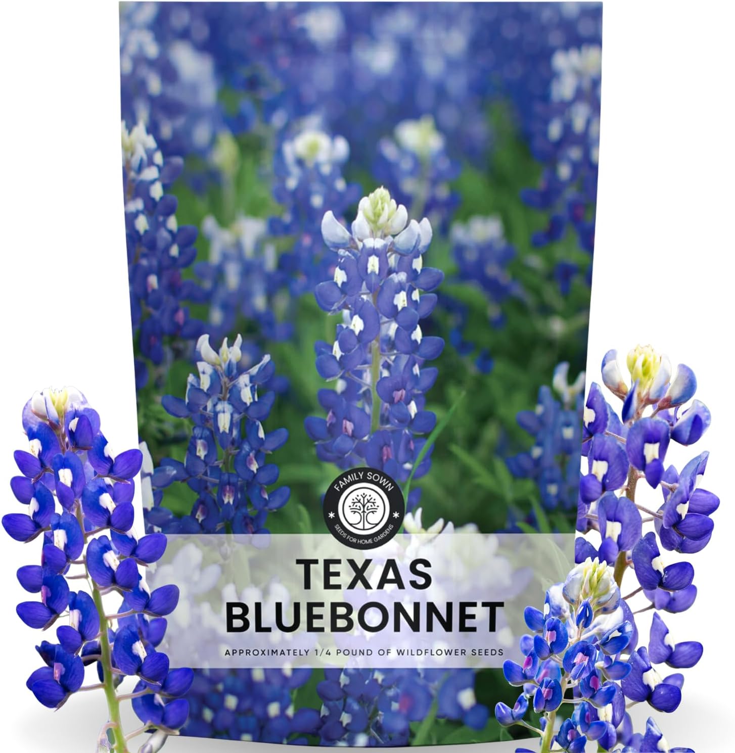 Texas Bluebonnet