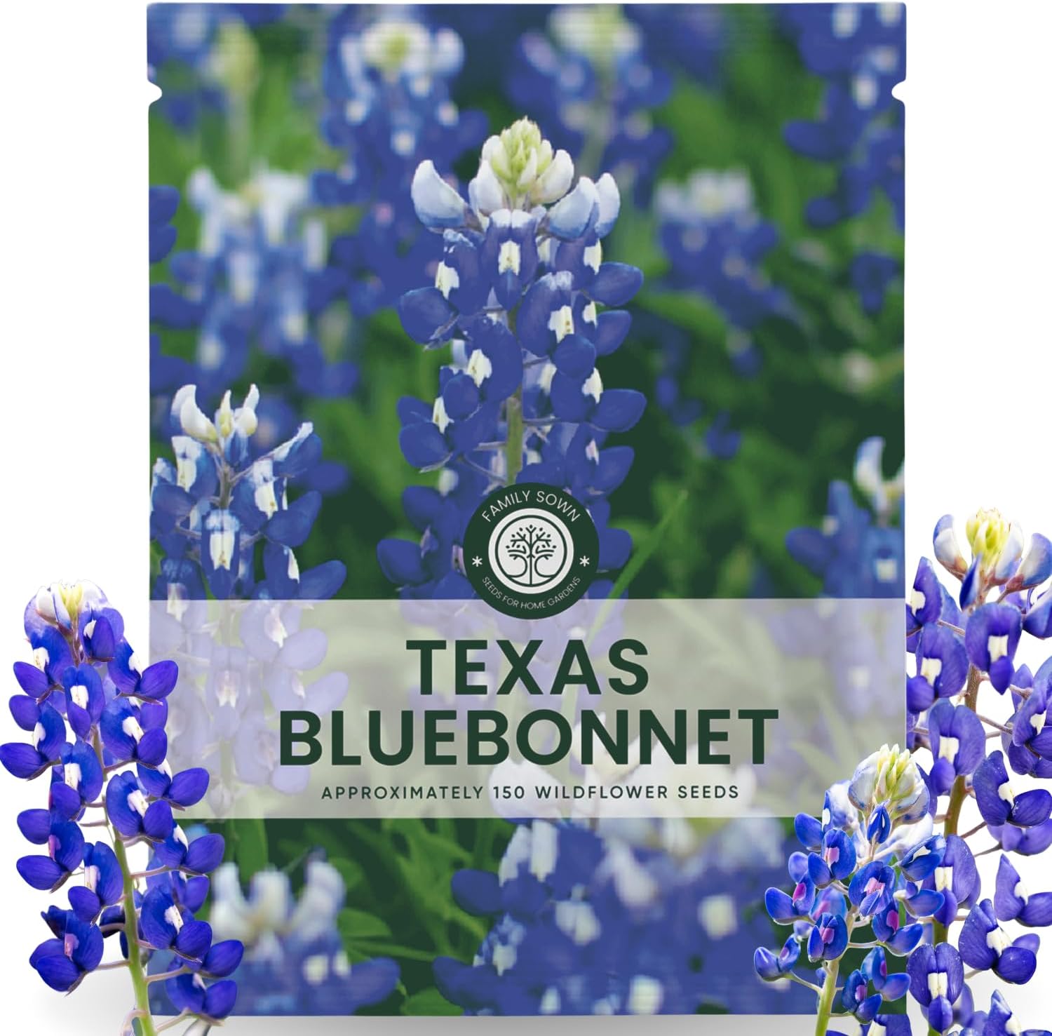 Texas Bluebonnet
