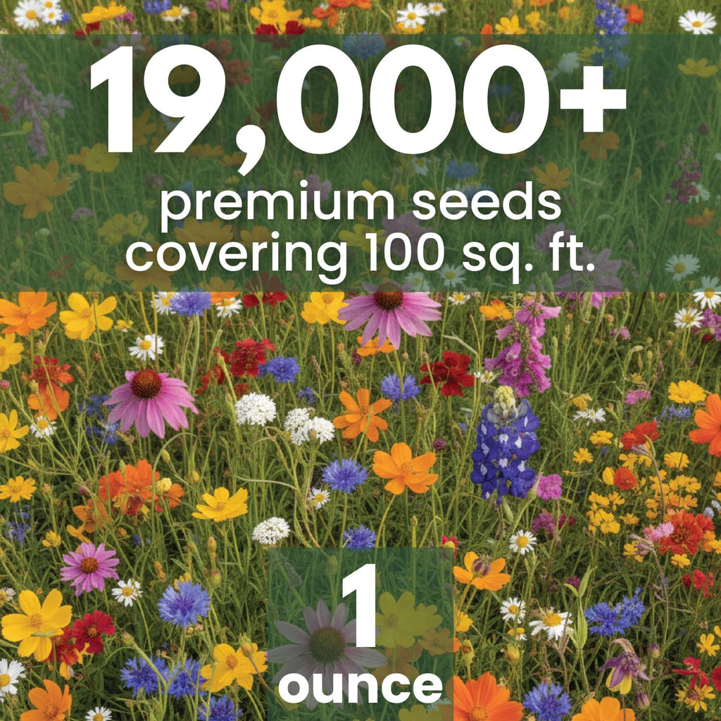 Texas Oklahoma Regional Mix