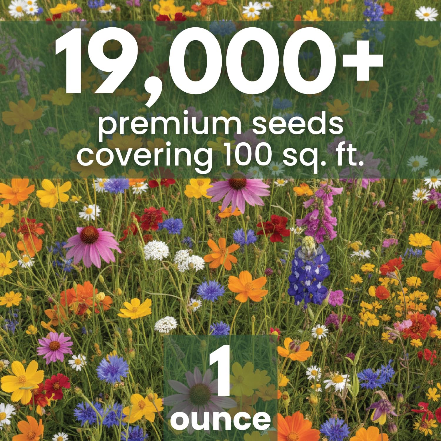 Texas Oklahoma Regional Mix