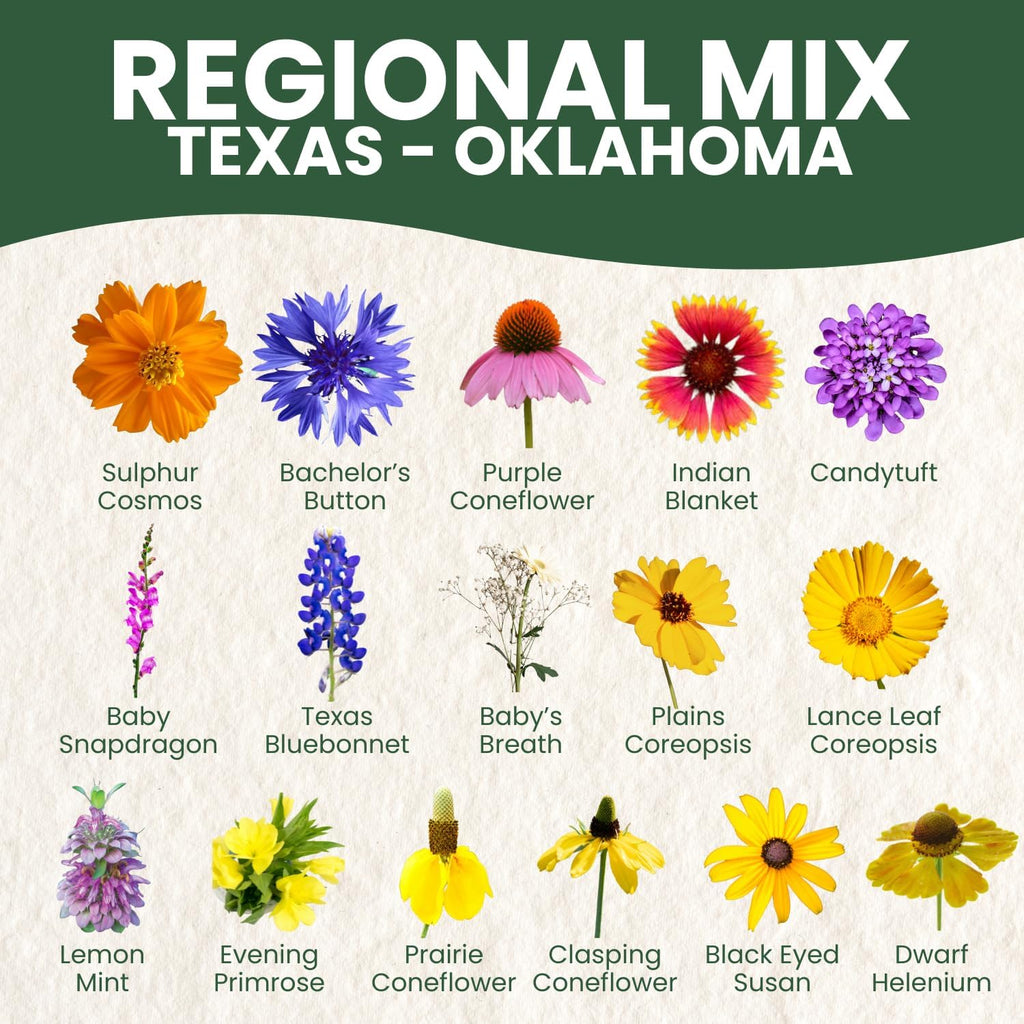 Texas Oklahoma Regional Mix
