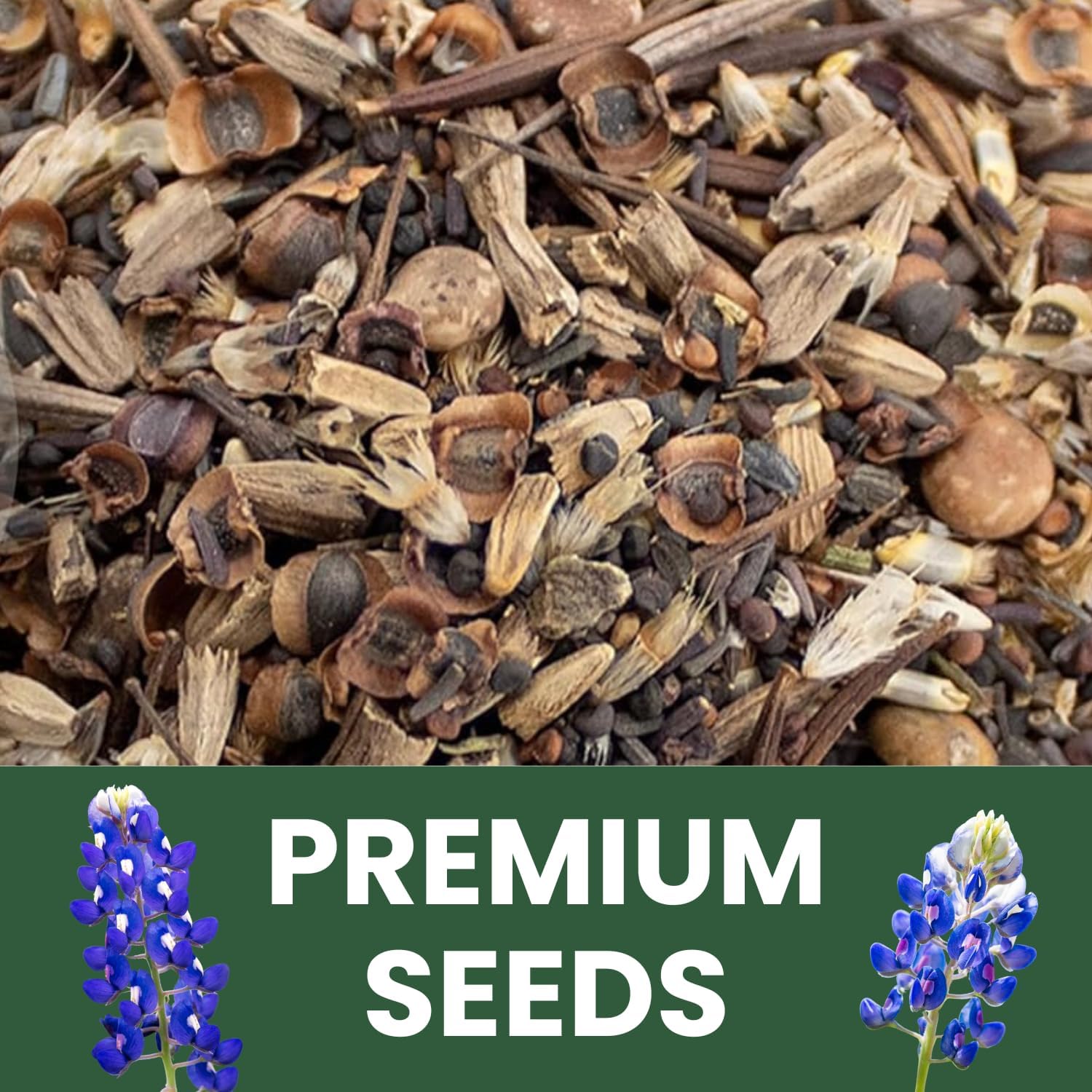 oklahoma wildflowers seeds Texas Oklahoma Regional Mix – Family Sown
