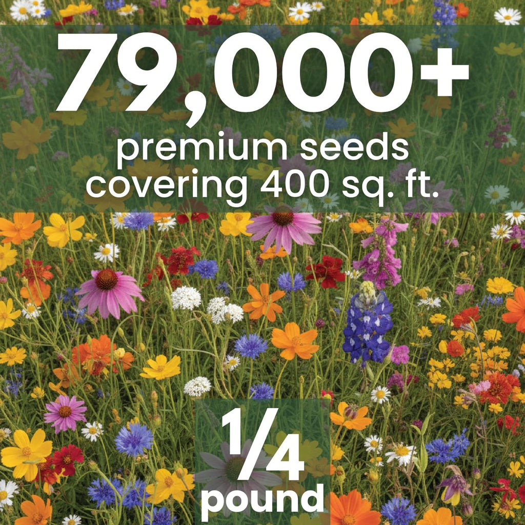 Texas Oklahoma Regional Mix