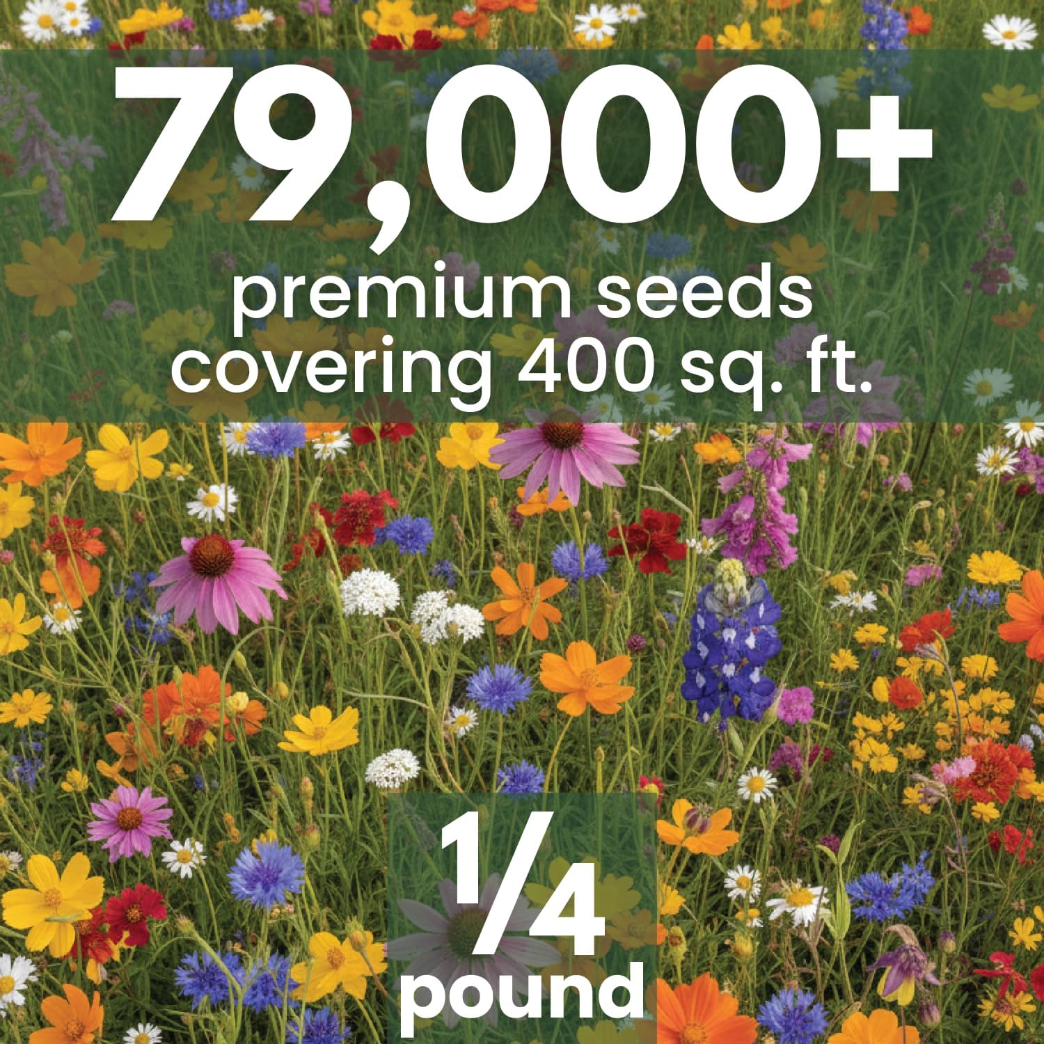 Texas Oklahoma Regional Mix