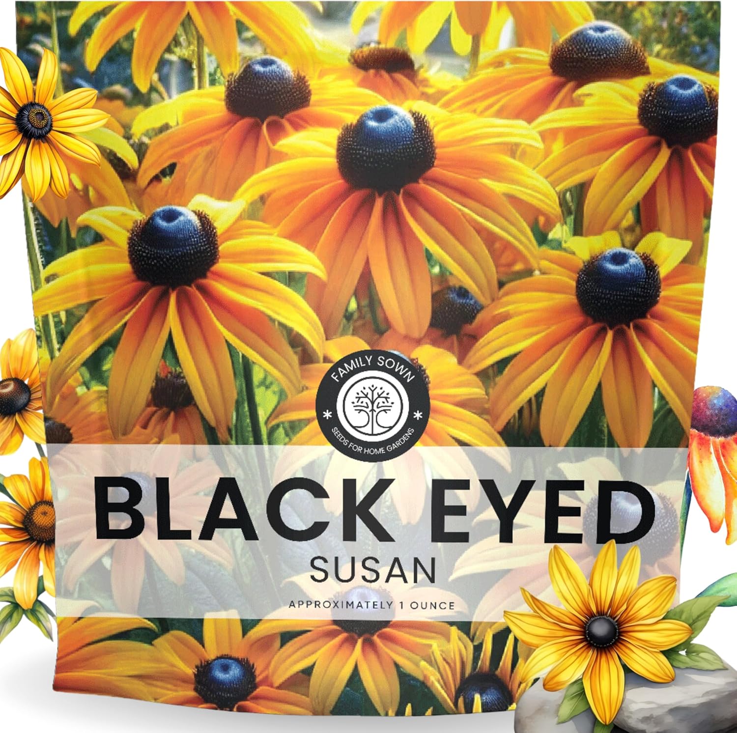 Black Eyed Susan