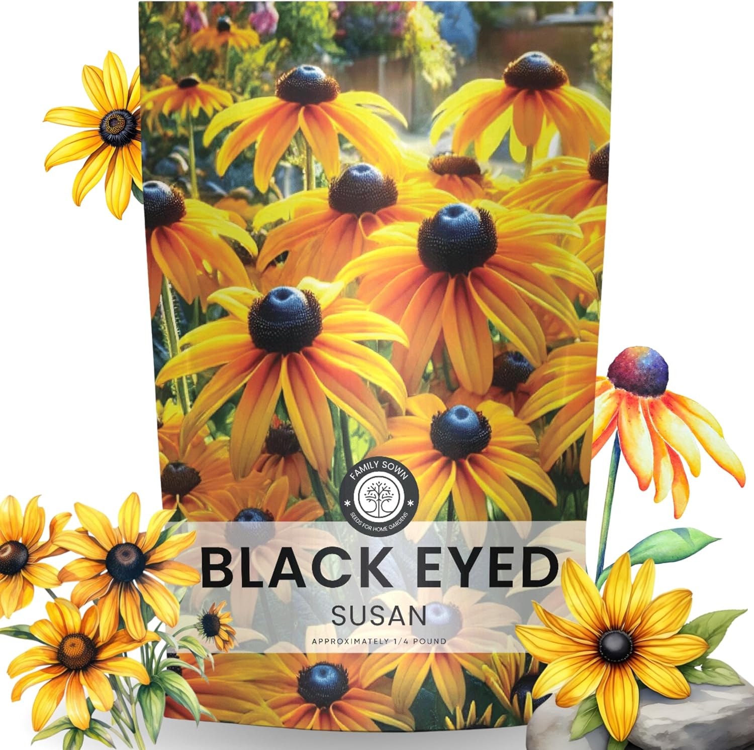 Black Eyed Susan