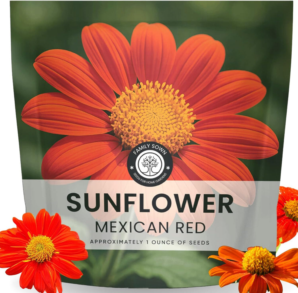 Mexican Sunflower (Red)