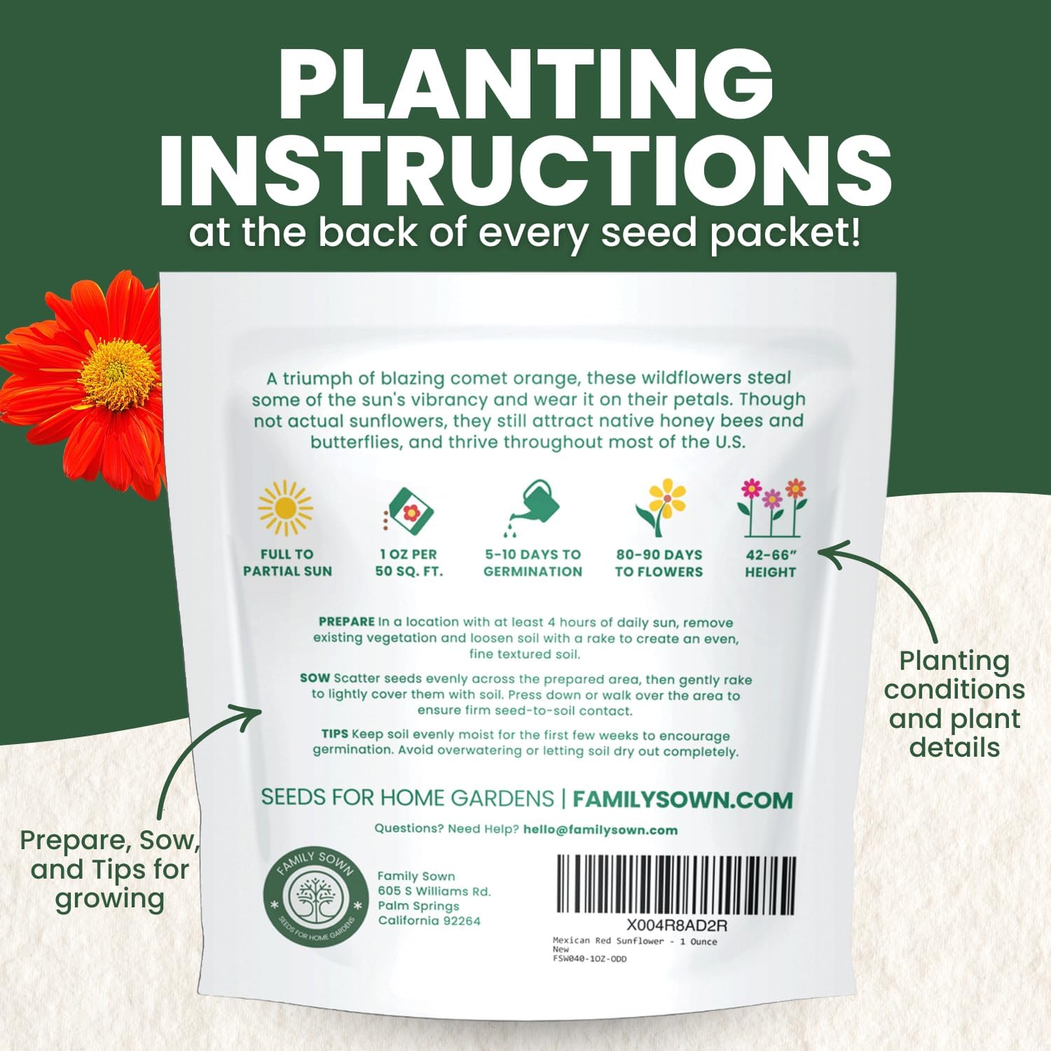 Mexican Sunflower (Red)